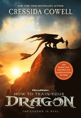 bokomslag How to Train Your Dragon