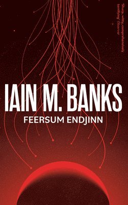 bokomslag Feersum Endjinn