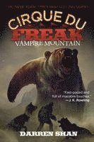 bokomslag Vampire Mountain