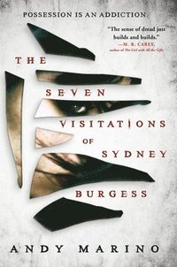 bokomslag The Seven Visitations of Sydney Burgess