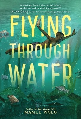 Flying through Water 1