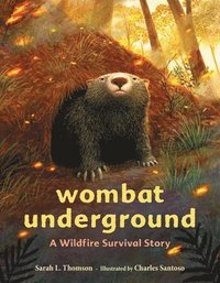 bokomslag Wombat Underground