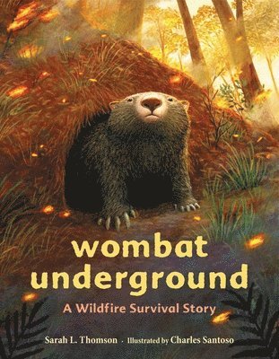 Charles Santoso, Sarah L Thomson - Wombat Underground, Inbunden
