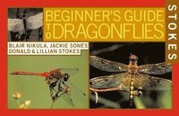 bokomslag Stokes Beginner's Guide To Dragonflies