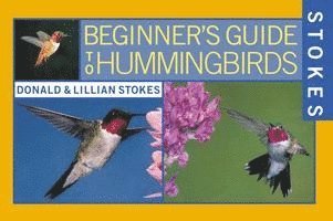 Stokes Beginner's Guide To Hummingbirds 1