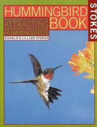 bokomslag The Hummingbird Book