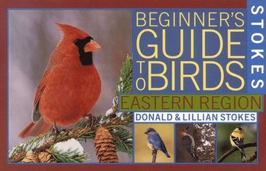 bokomslag Stokes Beginner's Guide to Birds