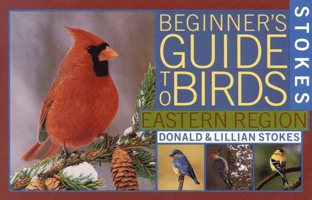 Donald Stokes, Lillian Q. Stokes, Lillian Q Stokes - Stokes Beginner's Guide to Birds: Eastern Region, Häftad