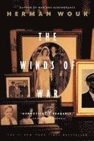bokomslag Winds Of War