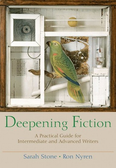 bokomslag Deepening Fiction
