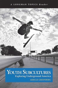 bokomslag Youth Subcultures