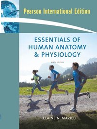 bokomslag Essentials of Human Anatomy & Physiology:International Edition