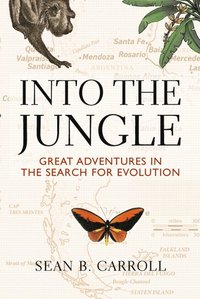 bokomslag Into The Jungle