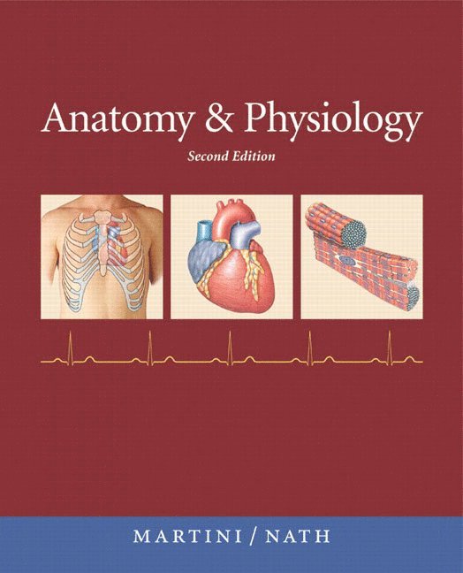 Anatomy & Physiology with Ip-10