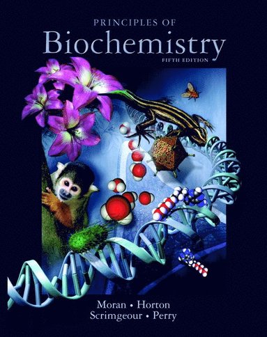 bokomslag Principles of Biochemistry