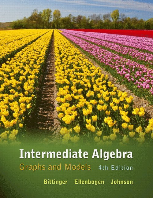Marvin Bittinger, David Ellenbogen, Barbara Johnson - Intermediate Algebra, Inbunden