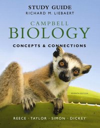 bokomslag Study Guide for Campbell Biology