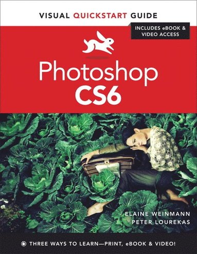 bokomslag Photoshop CS6: Visual QuickStart Guide