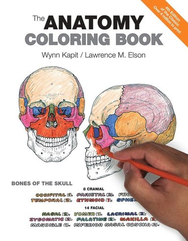 bokomslag Anatomy Coloring Book, The