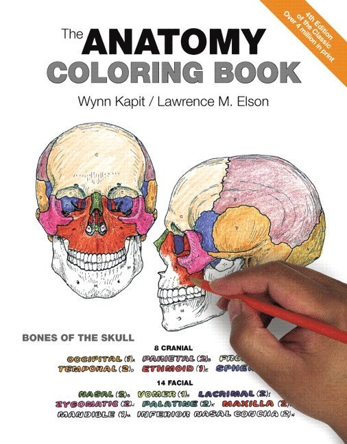 Anatomy Coloring Book, The 1