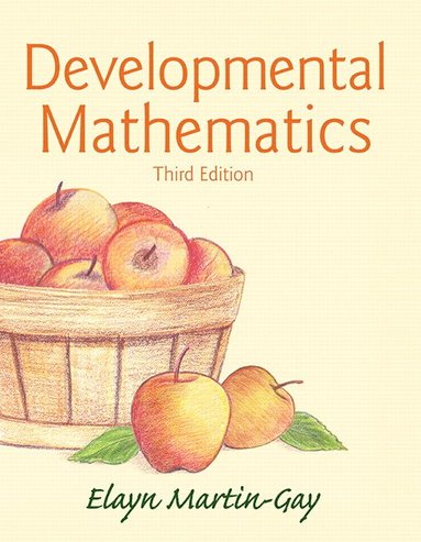 bokomslag Developmental Mathematics