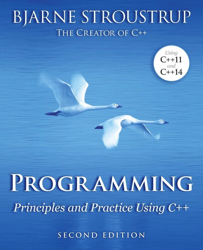 Bjarne Stroustrup - Programming, Häftad