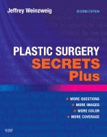 Jeffrey Weinzweig - Plastic Surgery Secrets Plus, Häftad
