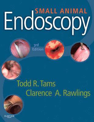 bokomslag Small Animal Endoscopy