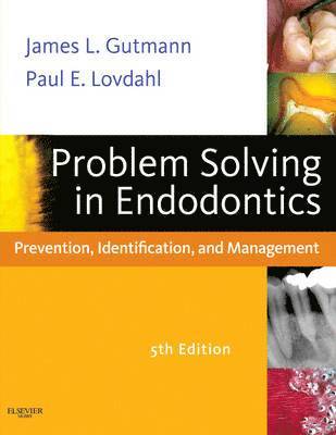 bokomslag Problem Solving in Endodontics