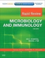 bokomslag Rapid Review Microbiology and Immunology