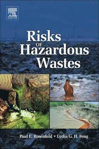 bokomslag Risks of Hazardous Wastes