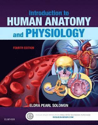 bokomslag Introduction to Human Anatomy and Physiology