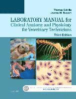 bokomslag Laboratory Manual for Clinical Anatomy and Physiology for Veterinary Technicians