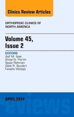 bokomslag Volume 45, Issue 2, An Issue of Orthopedic Clinics