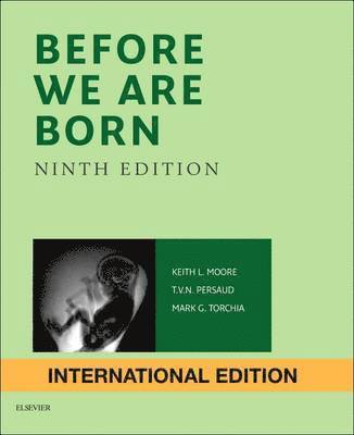 bokomslag Before We Are Born, International Edition