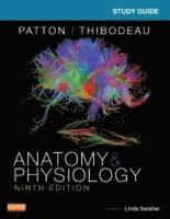 bokomslag Study Guide for Anatomy & Physiology