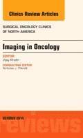bokomslag Imaging in Oncology, An Issue of Surgical Oncology Clinics of North America