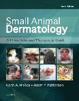 bokomslag Small Animal Dermatology