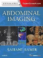 bokomslag Abdominal Imaging