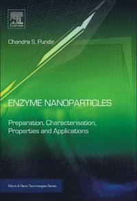 bokomslag Enzyme Nanoparticles