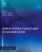 bokomslag Boron Nitride Nanotubes in Nanomedicine