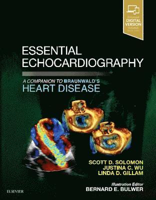 bokomslag Essential Echocardiography