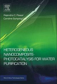 bokomslag Heterogeneous Nanocomposite-Photocatalysis for Water Purification