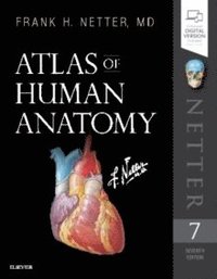 bokomslag Atlas of Human Anatomy