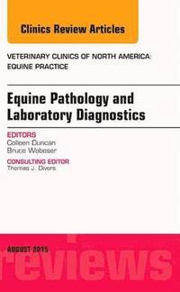 bokomslag Equine Pathology and Laboratory Diagnostics, An Issue of Veterinary Clinics of North America: Equine Practice