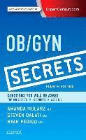 bokomslag Ob/Gyn Secrets