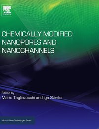 bokomslag Chemically Modified Nanopores and Nanochannels