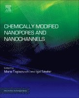 Mario Tagliazucchi, Igal Szleifer - Chemically Modified Nanopores and Nanochannels, Inbunden