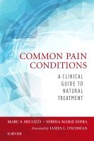 Marc S. Micozzi, Sebhia Dibra, Marc S Micozzi - Common Pain Conditions, Häftad