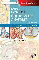 bokomslag Netter's Concise Orthopaedic Anatomy, Updated Edition